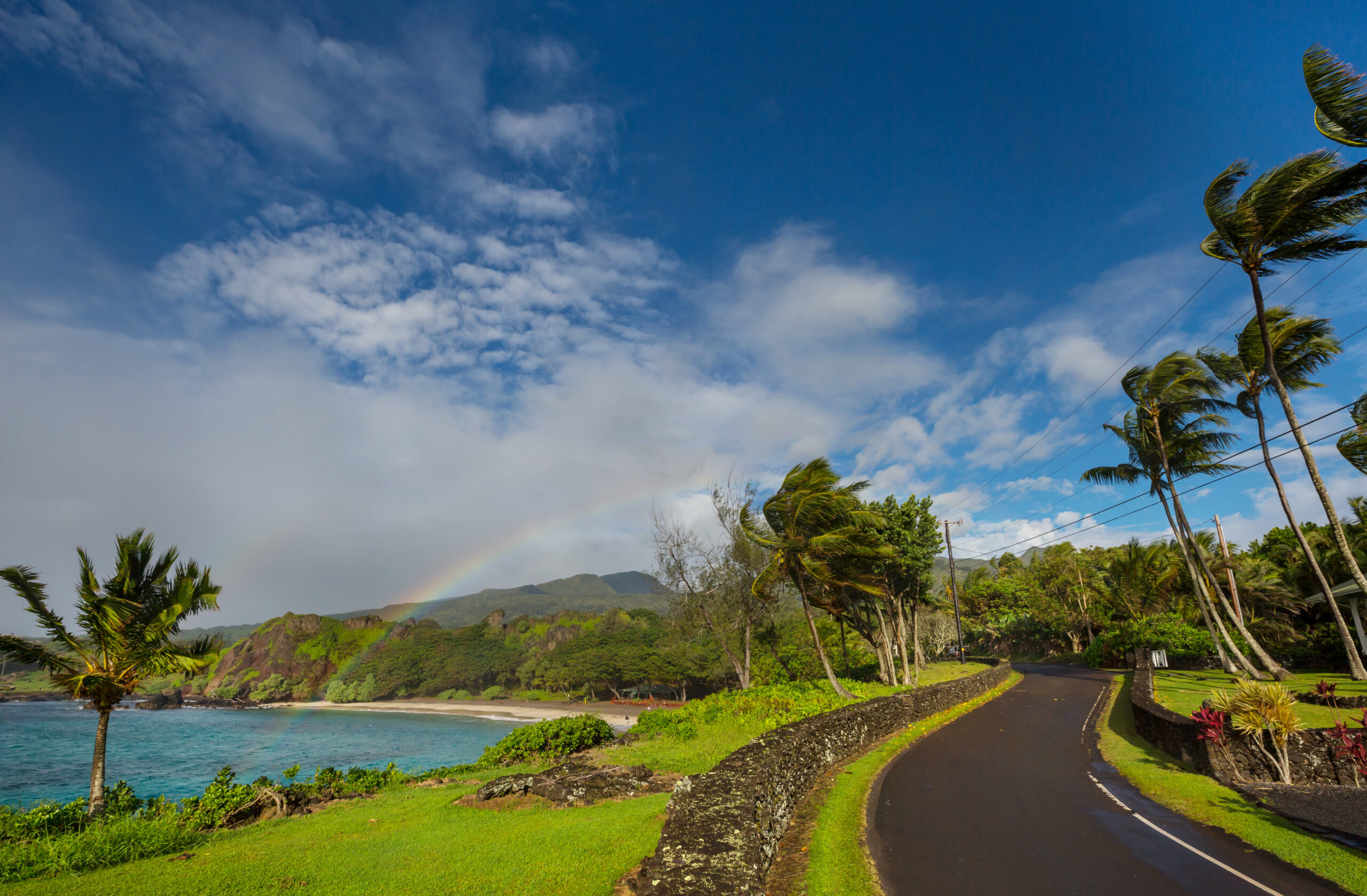 Emergency Management and Response Hawaii Support Image