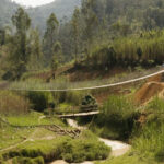 Thumbnail of 